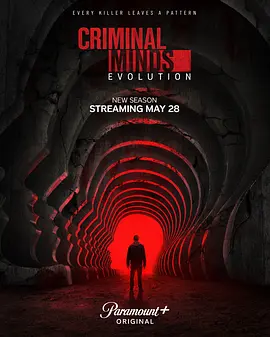 犯罪心理：演变第十九季CriminalMinds:EvolutionSeason19