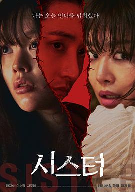 姐妹206